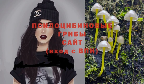 Альфа ПВП Алзамай