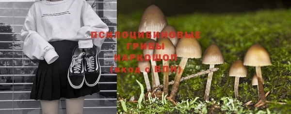 ешки Протвино