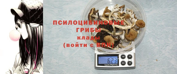не бодяженный Абаза