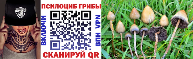 Галлюциногенные грибы Magic Shrooms  Зеленогорск 