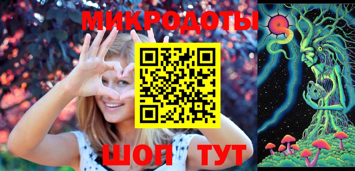 Зеленогорск  наркотики  Вход с VPN  Псилоцибиновые грибы Magic Shrooms  Псилоцибиновые грибы Psilocybine cubensis 