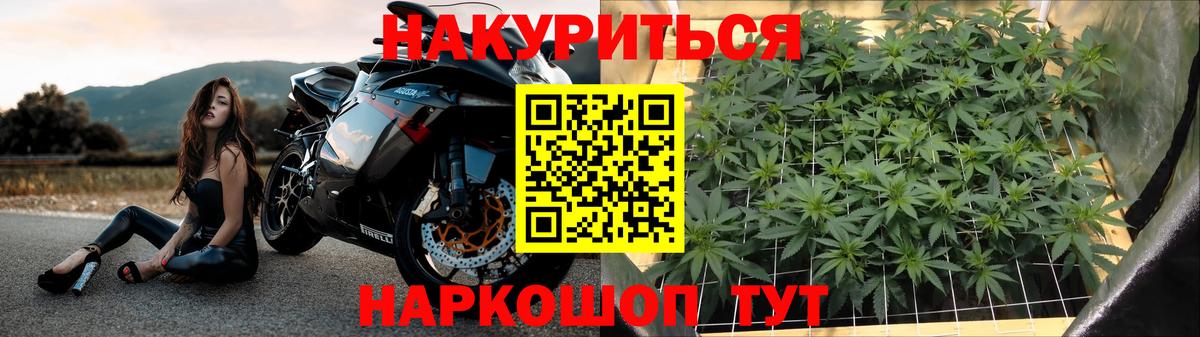 Канабис план Зеленогорск